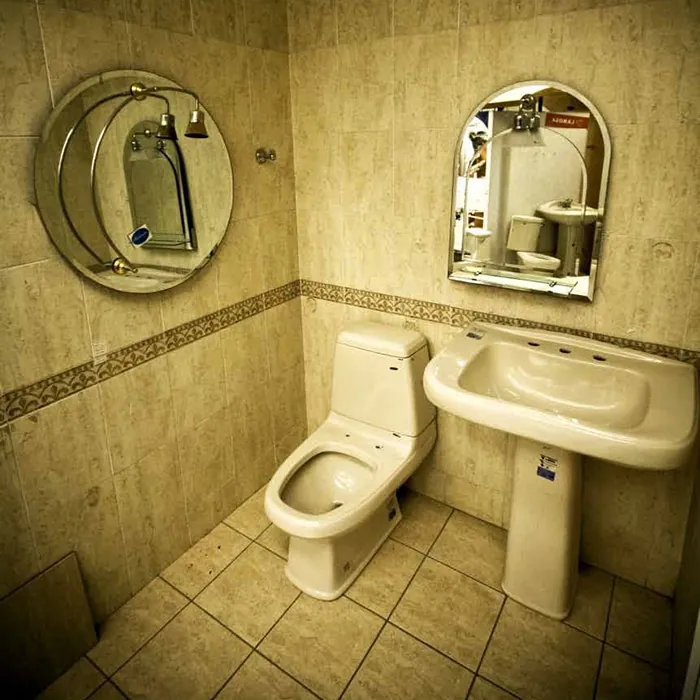 Sanitario estilo 1